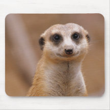 Posing Meerkat Mouse Pad