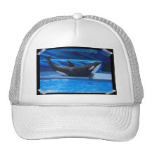 Posing Orca Baseball Hat