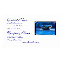 Posing Orca Business Cards