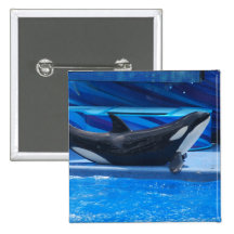 Posing Orca Button