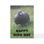 Posing Pigeon Custom Birthday Card