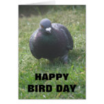 Posing Pigeon Custom Birthday Card