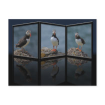 Posing Puffin Postcard