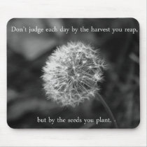 Positive Thinking Saying with Dandelion