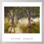 posrt, alex centrella     photographer print