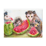 Possum Family Picnic Postcard