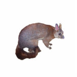 Possum photo sculptures