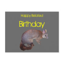 Possum Postcards