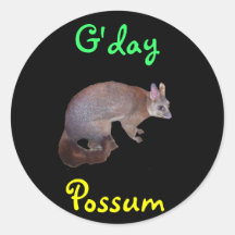 Possum Sticker