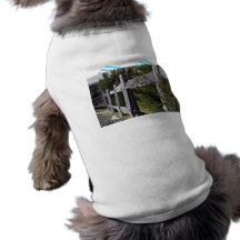 Post and Rail Fence Dog Clothes