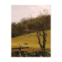POST CARD Appalachian Trail