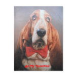 Post Card Basset Hound In Red Bow Tie, Be My Val