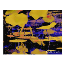 Post Card - Pop Art Lilypads001