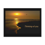 Post Card - Thinking of You postcards