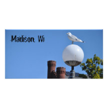 Post cards from madison, wi photo card template