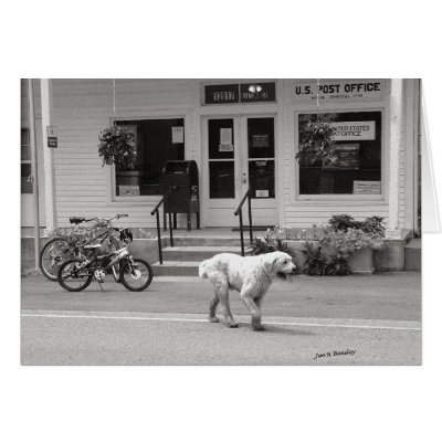 Post Office Miniton Tennesee Greeting Cards by bhbphotos