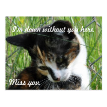 postcard