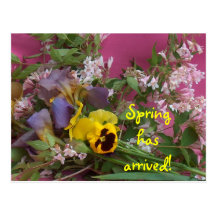 Postcard