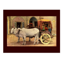 Postcard- Awesome India Village