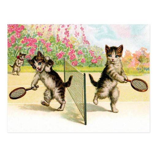 Postcard: Badminton Kittens Vintage Art