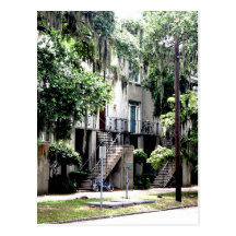 Postcard - Bicycles and Spanish Moss
