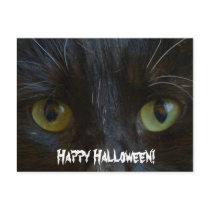 Postcard:  Black Cat Eyes