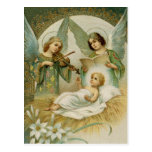 Postcard (Blank/Custom): Gloria