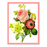 Postcard-Botanicals-Pierre Joseph Redoute 5
