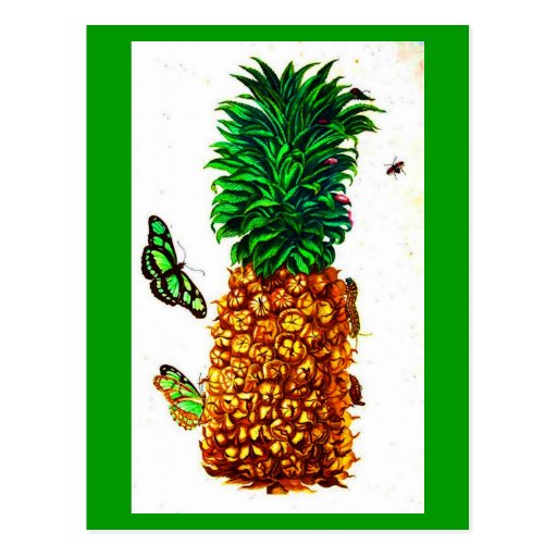 Postcard-Botanicals-Pineapple 2