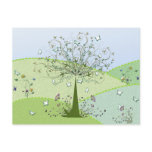 Postcard:  Butterfly Tree