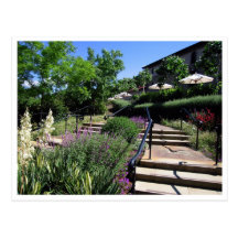 Postcard - Garden Walk to Beringer Winery CA