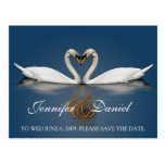 Postcard Gifts Love Swans