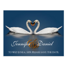 Postcard Gifts Love Swans