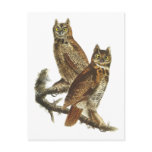 Postcard: Great Horned Owl