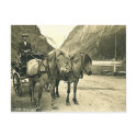 Postcard, Gudvangen, Norway