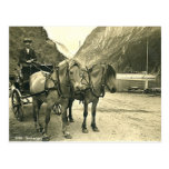 Postcard, Gudvangen, Norway