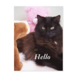 Postcard - Hello