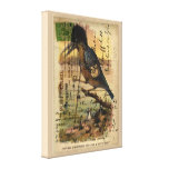 Postcard Kingfisher Stretched Canvas Print