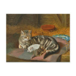 Postcard of Mama Cat & Pup: "The Unexpected Guest"