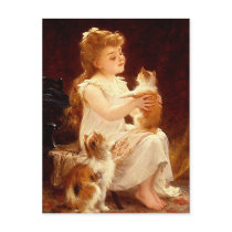 Postcard:  Playing with the Kitten