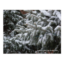 Postcard - snow in West Des Moines, Iowa