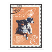 Postcard Space Dogs Veterok and Ugolyok