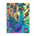 Postcard:  The Peacock Shows Its Feathers