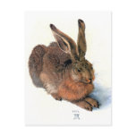 Postcard:  The Rabbit