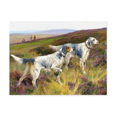 Postcard: Two English Setters in Field by VintagePets