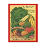 Postcard Vintage Antique Burt Co Vegetable Seeds