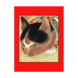 Postcard: Vintage Cat Art: "Curious Kitty Cat"