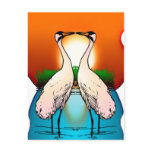 Postcard-Whooping Crane Love Birds