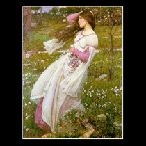 Postcard: Windflowers -  John Waterhouse postcards