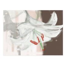postcard with a watercolour illustration of a lily
